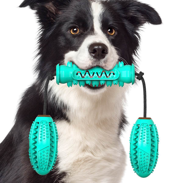 Interactive Dental Chew Toy